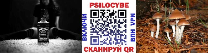 Галлюциногенные грибы мухоморы Слюдянка