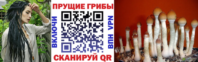 закладка  omg ссылки  Псилоцибиновые грибы Magic Shrooms  Слюдянка 
