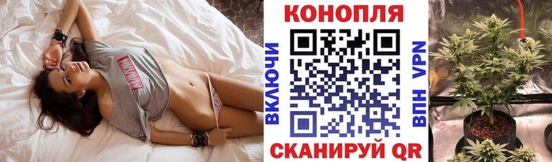 сайты даркнета какой сайт Слюдянка Бошки марихуана Amnesia